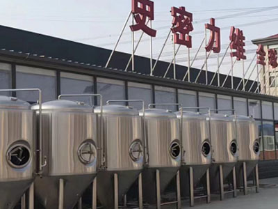沙湾精酿啤酒设备厂—市场规模与跨界新需求